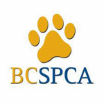 Jobs-n-Recruiment_The British Columbia Society for the Prevention of Cruelty to Animals (BC SPCA)